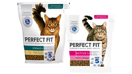Perfect Fit™ Ξηρή τροφή για γάτες