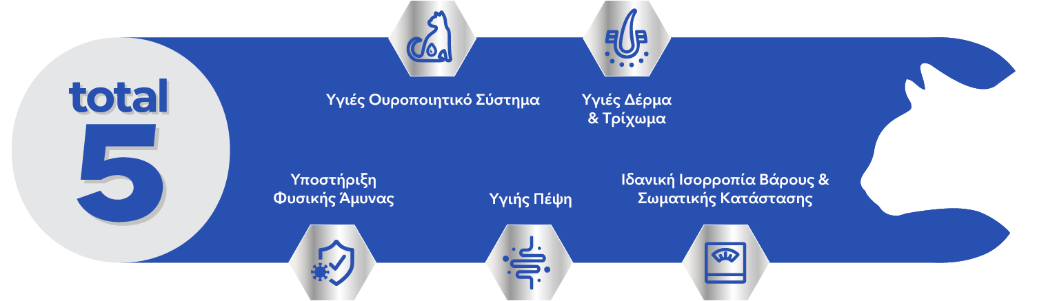 cat total 5 healthy banner