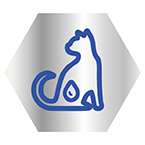 Υγιές Ουροποιητικό Σύστημα